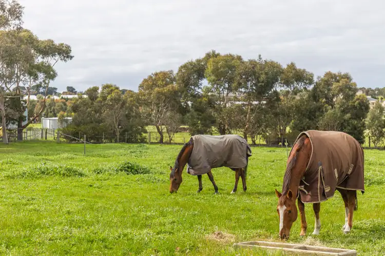 Fifth view of Homely rural property listing, 25 Grigg Court, Wallington VIC 3221