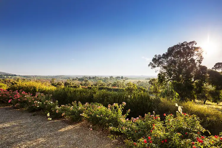 Fifth view of Homely house listing, 175 Sheffield Road, Montrose VIC 3765