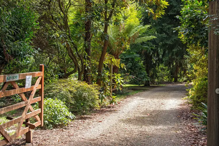 Second view of Homely rural property listing, 69 Cherry Lane, Toolangi VIC 3777