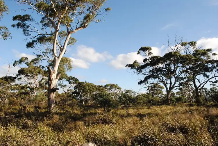 Lot 1 Dolphin Sands Road, Dolphin Sands TAS 7190