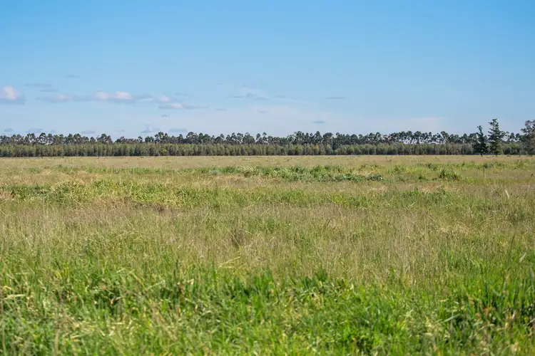 Third view of Homely rural property listing, 727 Portarlington - Queenscliff Road, St Leonards VIC 3223