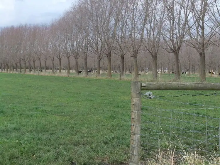 Second view of Homely rural property listing, Lot 2 Cnr Yuill Road & Fitzpatrick Road, Montgomery VIC 3851