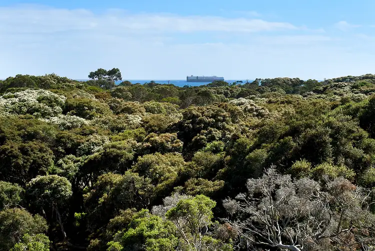 Sixth view of Homely house listing, 24 Collins Parade, Sorrento VIC 3943