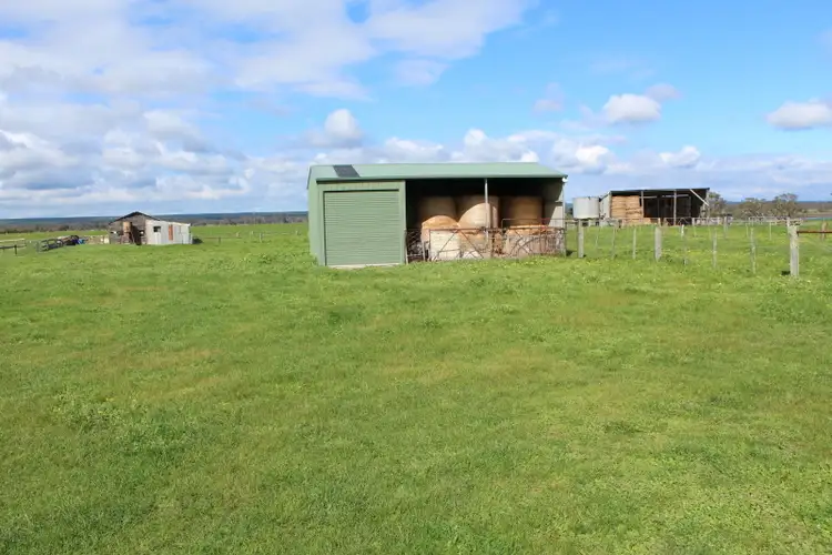 Sixth view of Homely rural property listing, 142 Tylers Road, Pearsondale VIC 3851