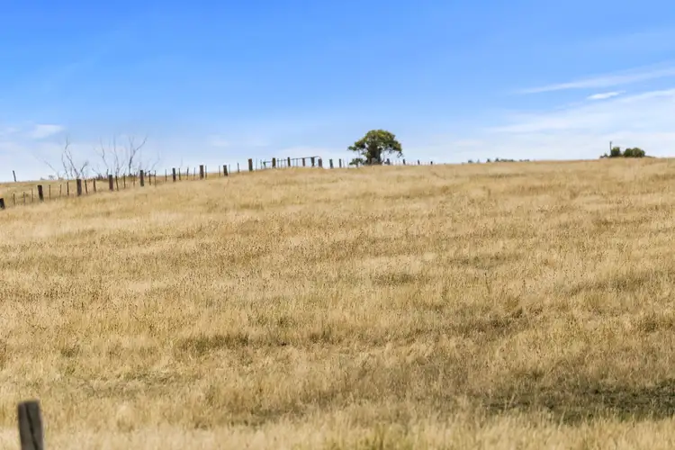 Fifth view of Homely rural property listing, 225 Murradoc. Road, Drysdale VIC 3222
