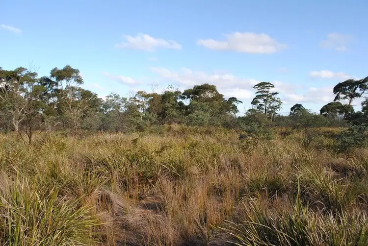 Third view of Homely land listing, Lot 1 Dolphin Sands Road, Dolphin Sands TAS 7190