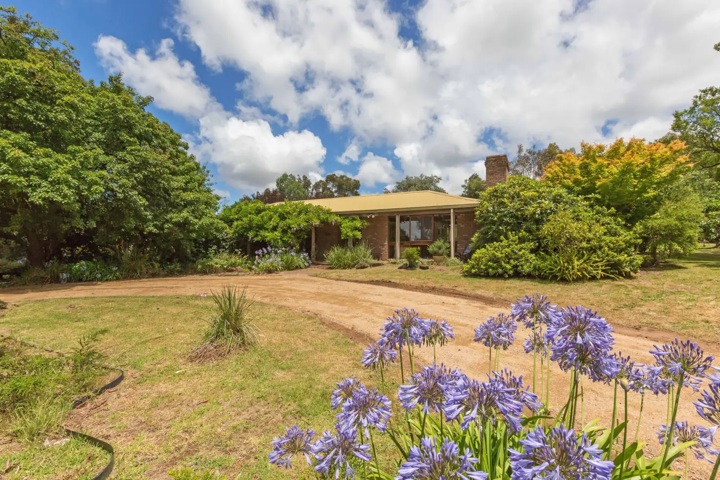 Main view of Homely house listing, 556 Tucks Road, Shoreham VIC 3916