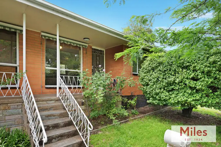 3/16 Elphin Street, Ivanhoe VIC 3079