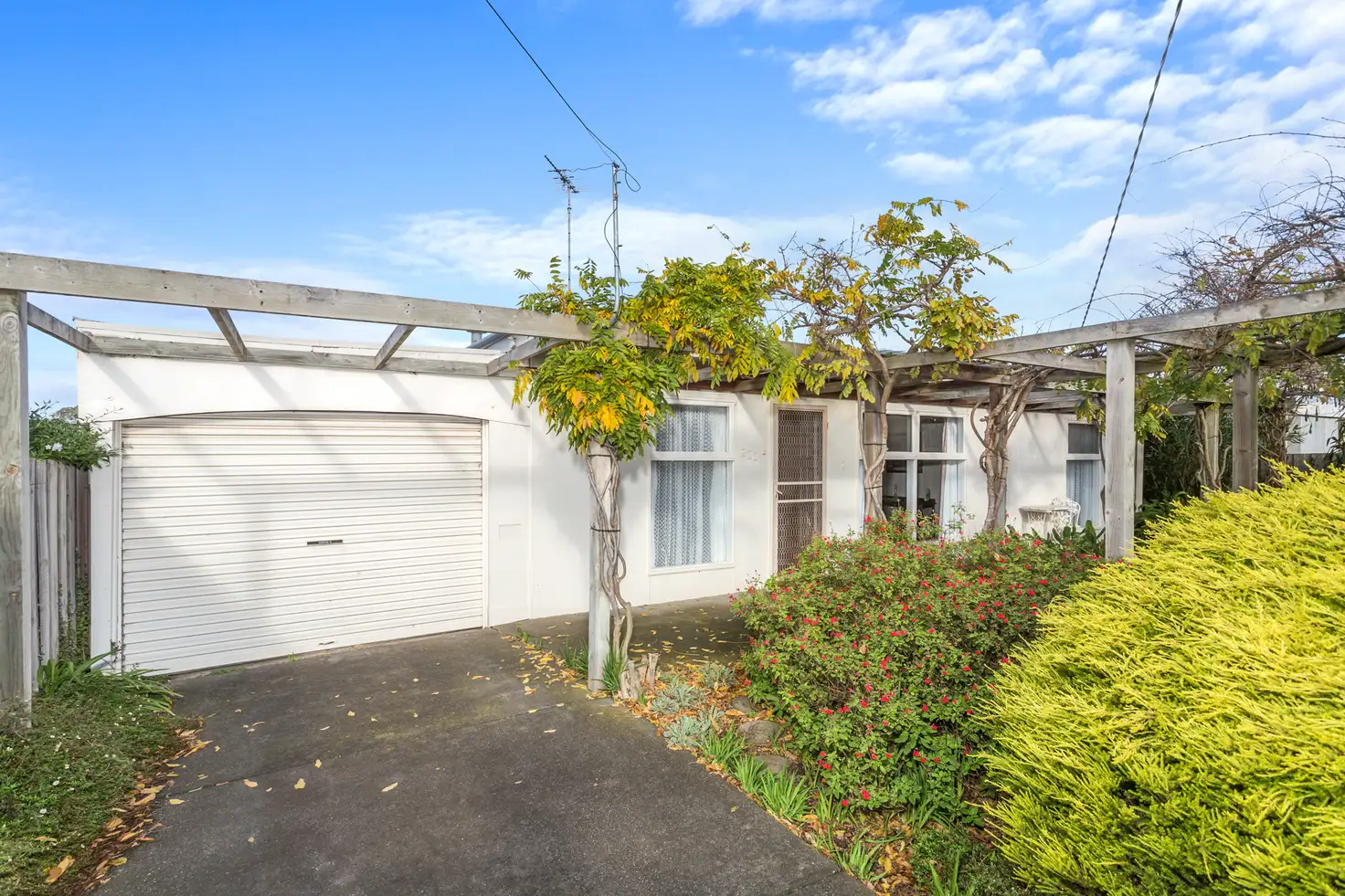 Main view of Homely house listing, 220 Thacker Street, Ocean Grove VIC 3226