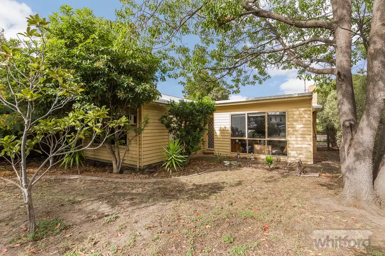 17 Cambra Road, Belmont VIC 3216