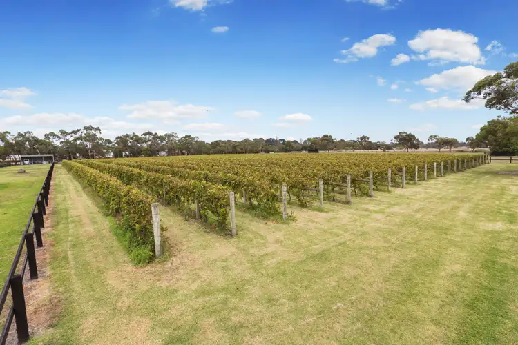 Fifth view of Homely house listing, 275 Mornington-Tyabb Road, Moorooduc VIC 3933