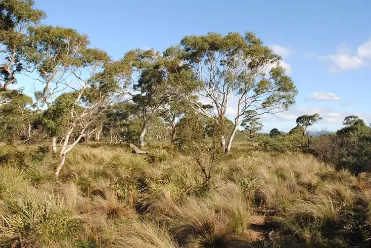 Second view of Homely land listing, Lot 1 Dolphin Sands Road, Dolphin Sands TAS 7190