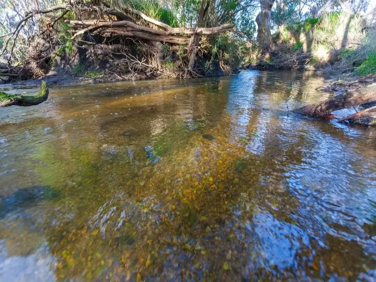 Third view of Homely rural property listing, 48 Dawber Road, Inverleigh VIC 3321