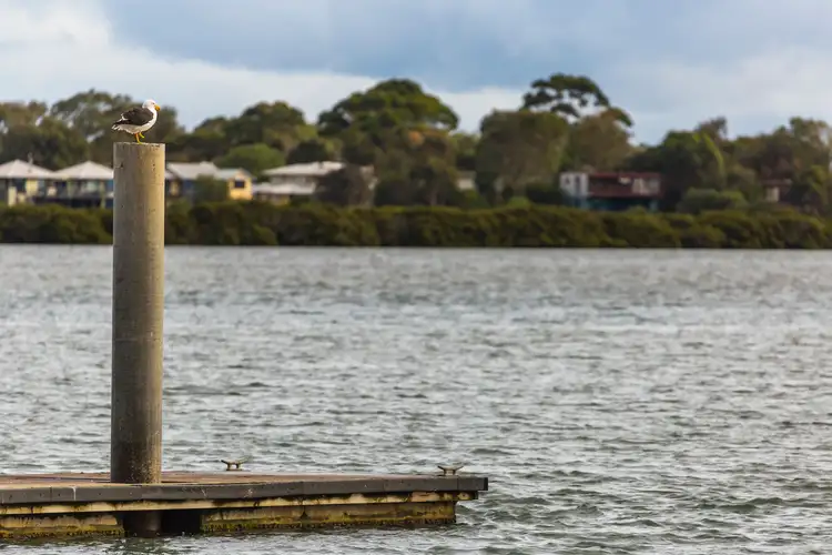 Seventh view of Homely land listing, 41 Grove Road, Barwon Heads VIC 3227