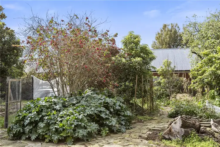 Sixth view of Homely house listing, 111 King Street, Sandy Bay TAS 7005