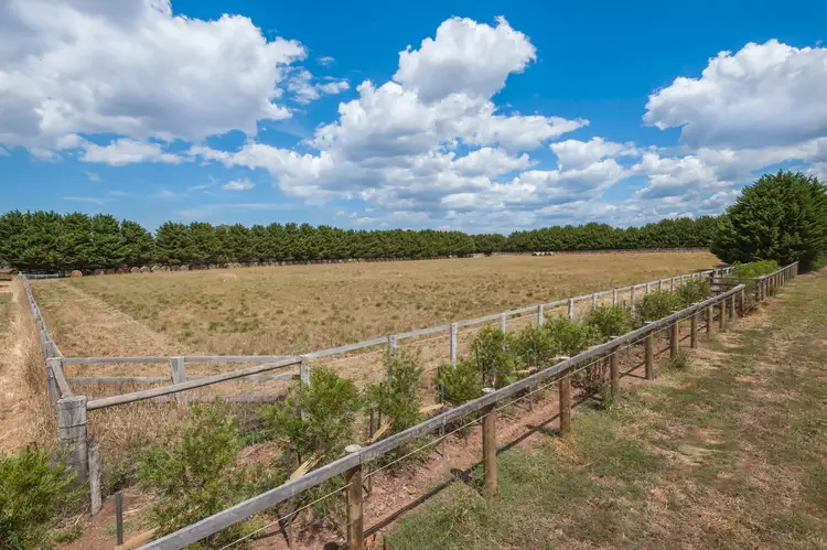 Fourth view of Homely rural property listing, 11 Ochiltrees Road, Romsey VIC 3434