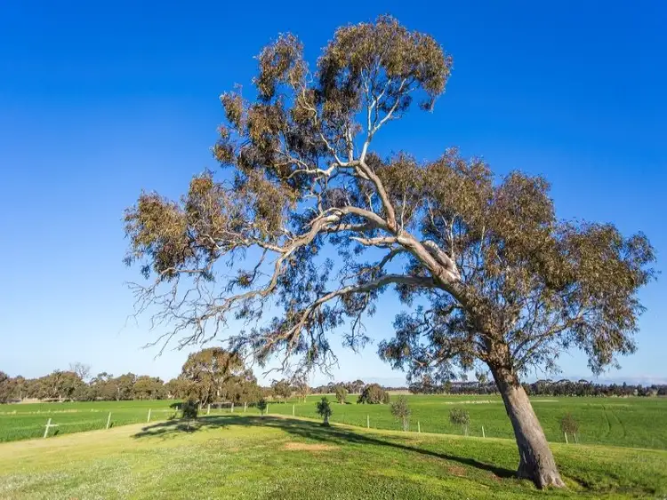 Sixth view of Homely rural property listing, 48 Dawber Road, Inverleigh VIC 3321