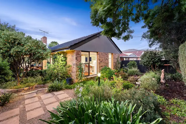 Main view of Homely house listing, 29 Ranfurlie Road, Forest Hill VIC 3131