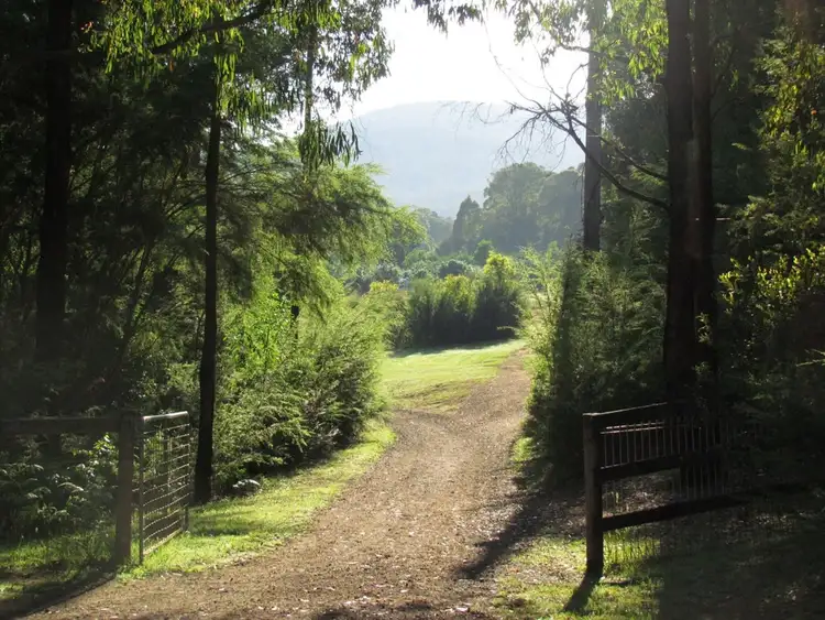 Fifth view of Homely rural property listing, 165 Hakea Road, Hoddles Creek VIC 3139