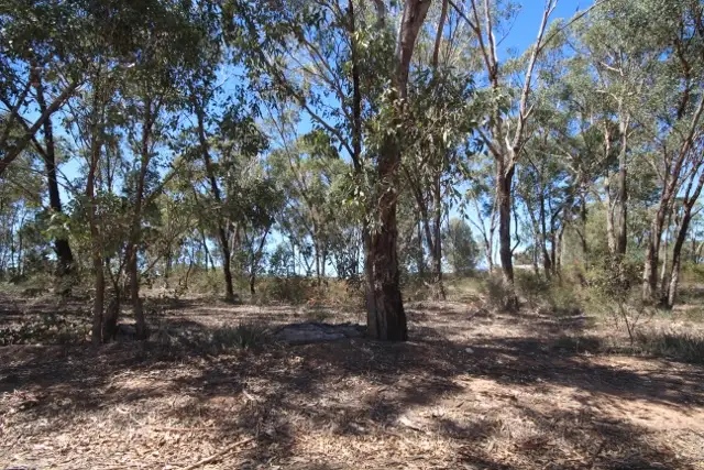 Third view of Homely land listing, 10 Myrtle Street, Tarcutta NSW 2652