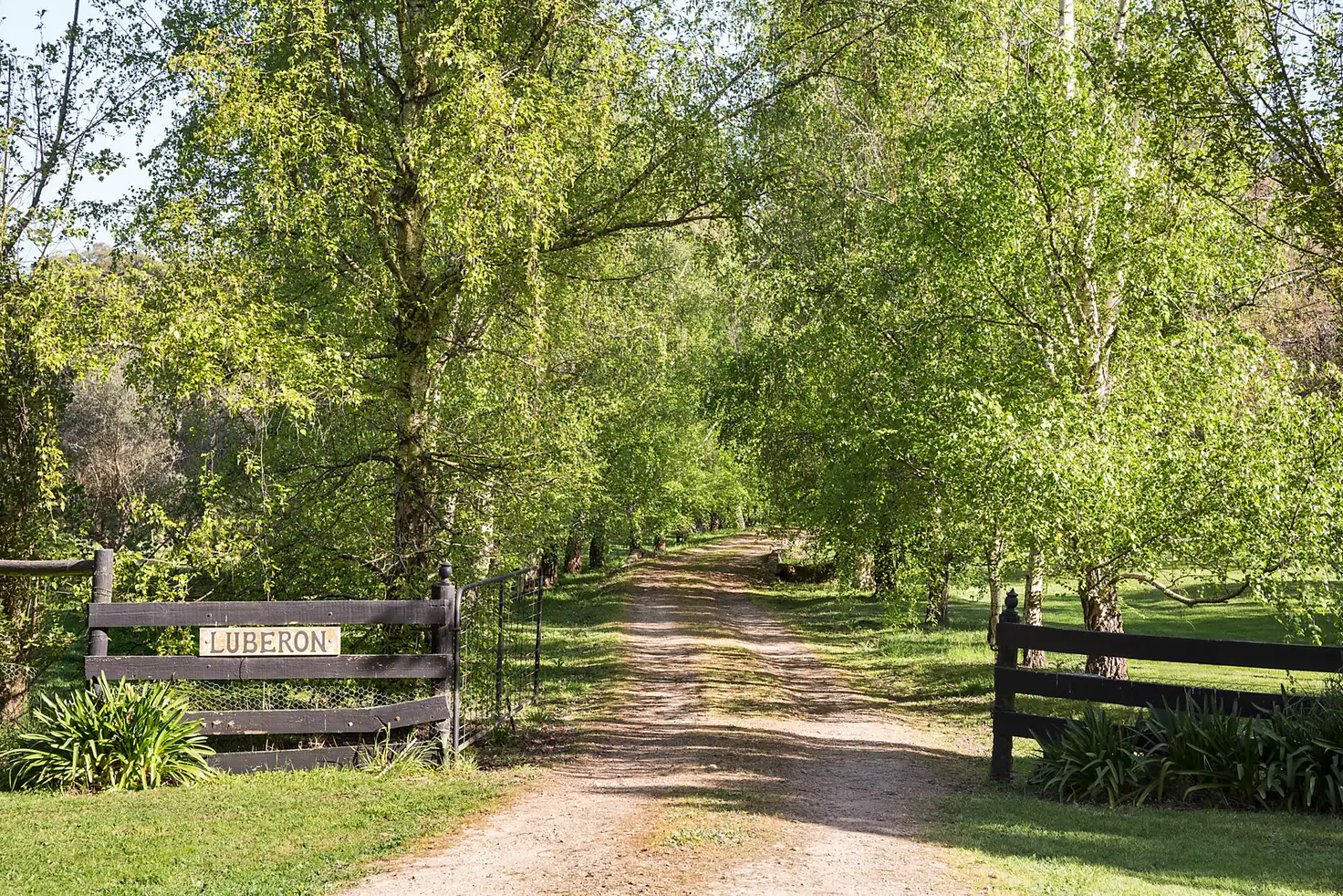 Main view of Homely house listing, 17 Callanans Road, Red Hill South VIC 3937