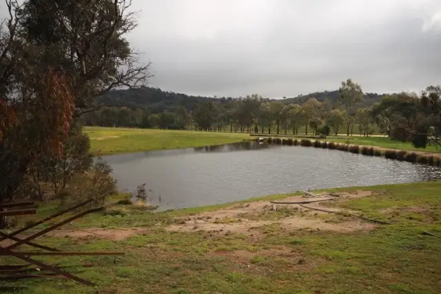 6539 Holbrook Road, Gelston Park NSW 2650