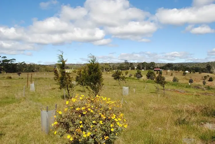 Fourth view of Homely land listing, 8 Tarleton Street, Swansea TAS 7190