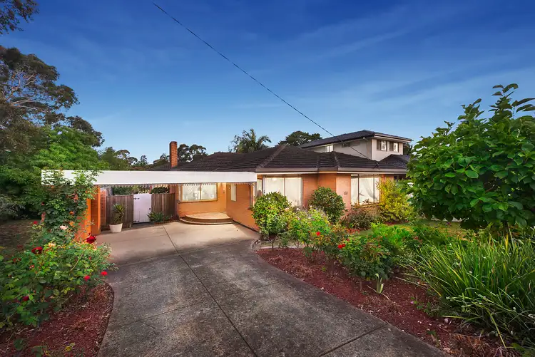 169 Mount Pleasant Road, Forest Hill VIC 3131