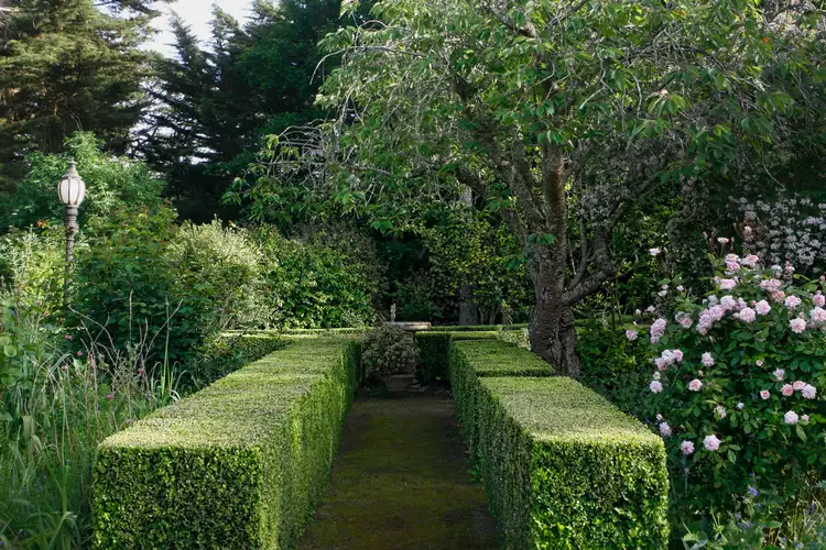 Fourth view of Homely house listing, 410 Ochiltrees Road, Romsey VIC 3434