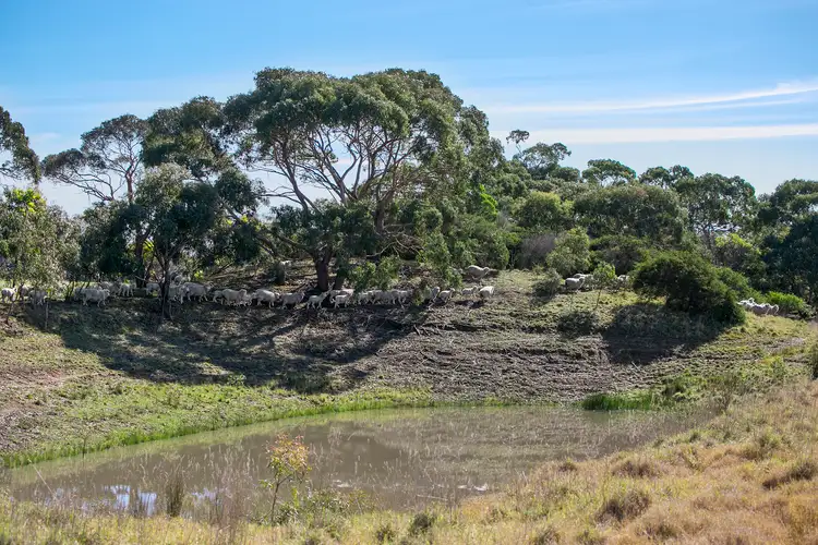 Seventh view of Homely land listing, 120 Sproules Road, Wallington VIC 3222