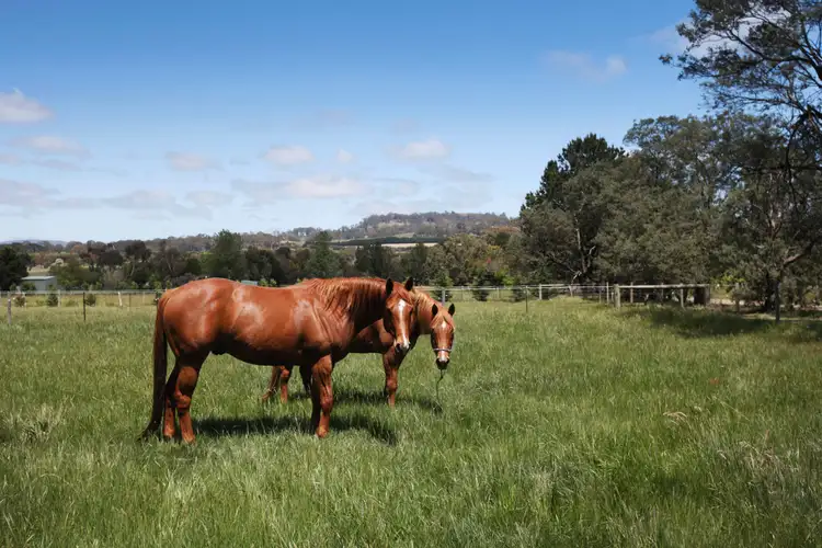 Fifth view of Homely house listing, 86 Wisemans Lane, Newham VIC 3442