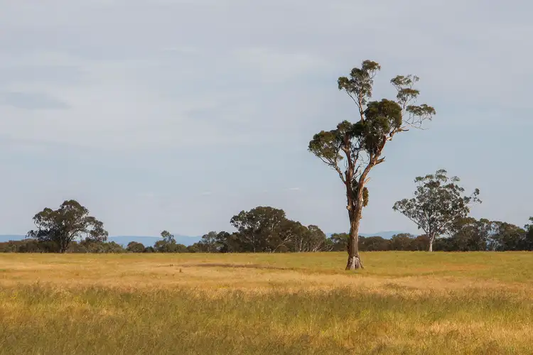 Second view of Homely rural property listing, 471 Briagolong Road, Stratford VIC 3862