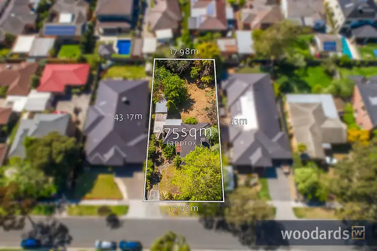 Main view of Homely house listing, 82 Hilton Street, Mount Waverley VIC 3149