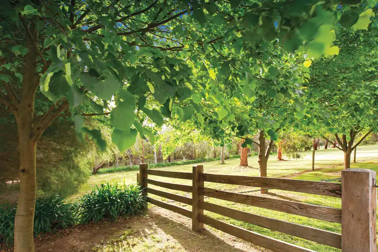 Fourth view of Homely house listing, 98 Thompsons Lane, Merricks VIC 3916