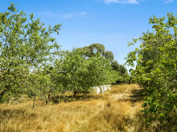 Second view of Homely rural property listing, 2-20 Lings Road, Wallington VIC 3222