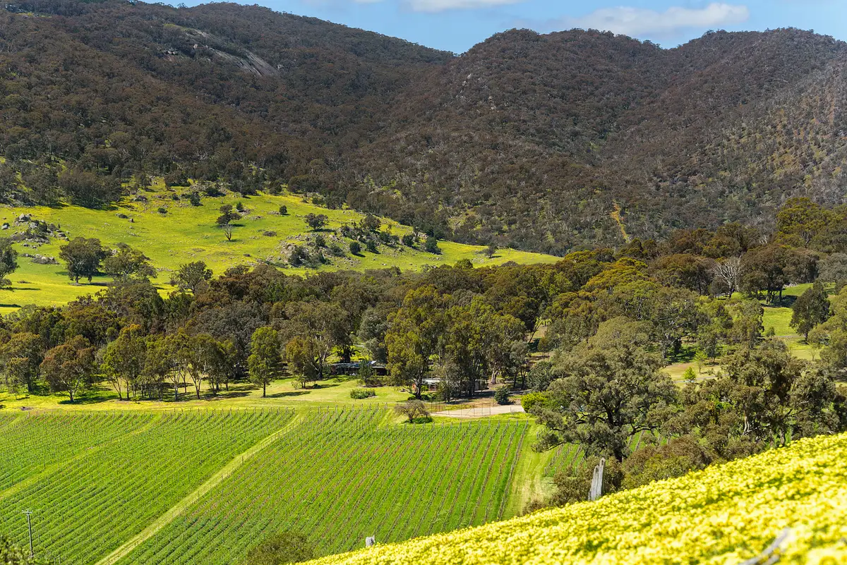 Main view of Homely house listing, 140 Ennis Road, Tallarook VIC 3659