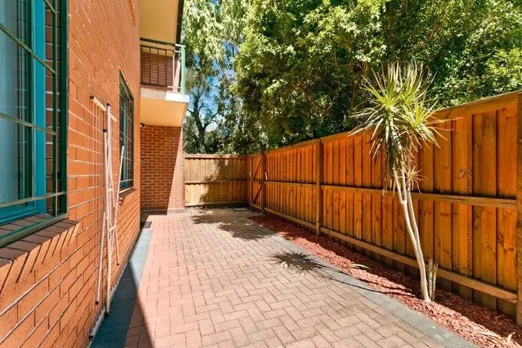 Main view of Homely apartment listing, 146/362 Mitchell Road, Alexandria NSW 2015