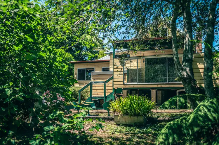 Second view of Homely rural property listing, 647 Tyringham Road, North Dorrigo NSW 2453