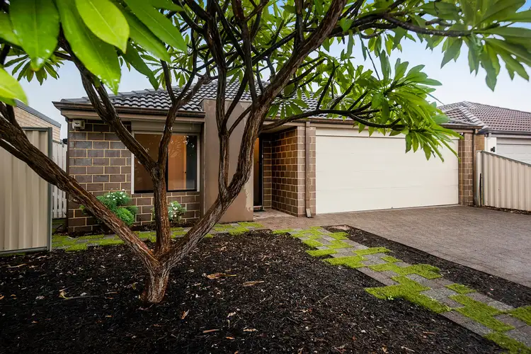 Main view of Homely house listing, 13 Bluebell Avenue, High Wycombe WA 6057