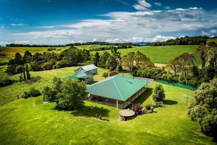 Second view of Homely rural property listing, 5492 Waterfall Way, Fernbrook NSW 2453