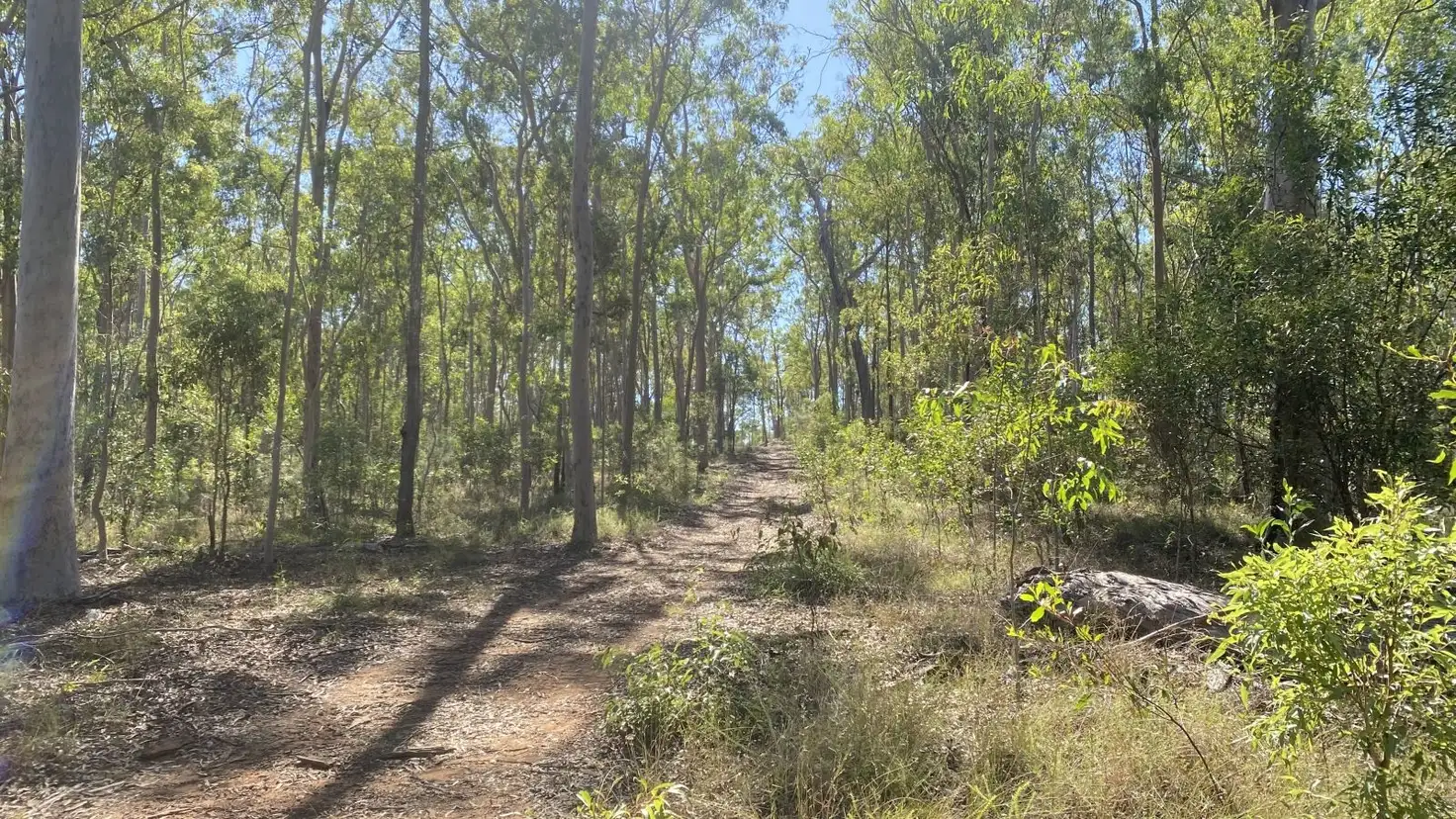Main view of Homely rural property listing, Lot 3, 255 Nugent Road, Netherby QLD 4650