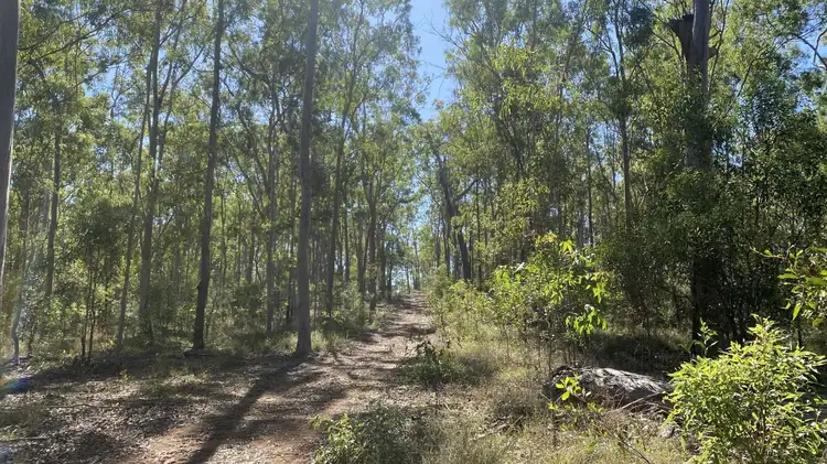 Fifth view of Homely rural property listing, Lot 3, 255 Nugent Road, Netherby QLD 4650
