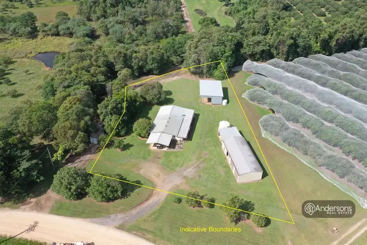 Fifth view of Homely house listing, 275 Dingo Pocket Road, Dingo Pocket QLD 4854