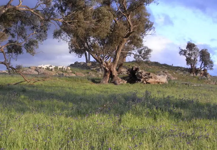 2305 Wymah Road, Wymah NSW 2640