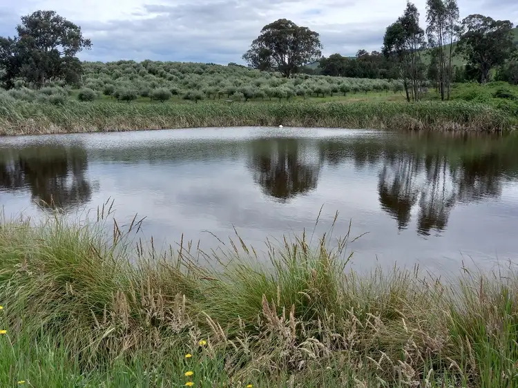Second view of Homely rural property listing, 2305 Wymah Road, Wymah NSW 2640