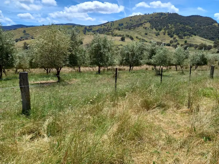 Fourth view of Homely rural property listing, 2305 Wymah Road, Wymah NSW 2640