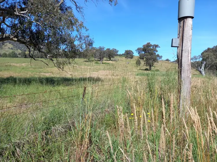 Fifth view of Homely rural property listing, 2305 Wymah Road, Wymah NSW 2640