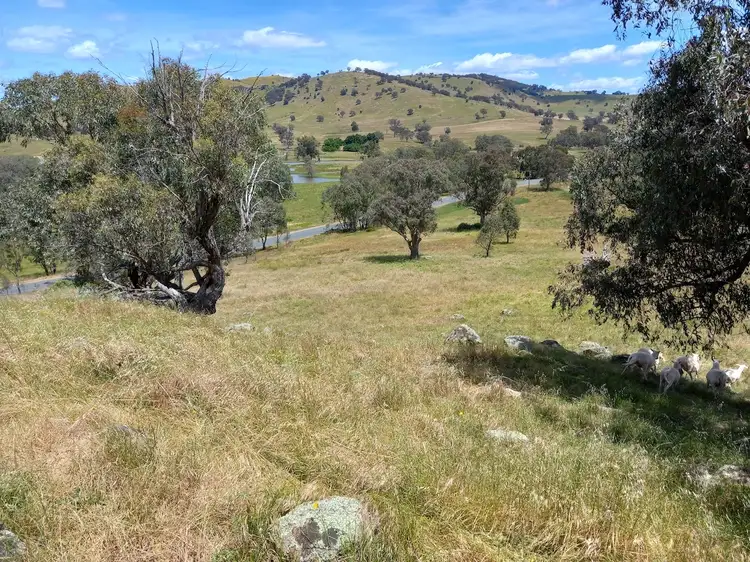 Sixth view of Homely rural property listing, 2305 Wymah Road, Wymah NSW 2640