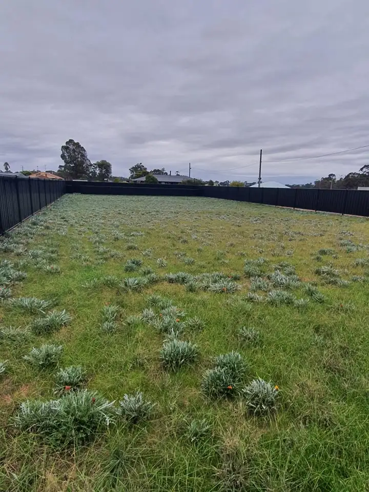 Second view of Homely land listing, 173 High Street, Charlton VIC 3525