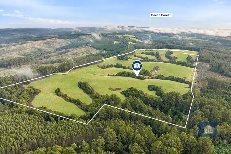 Main view of Homely rural property listing, 295 Beech Forest-Mount Sabine Road, Beech Forest VIC 3237